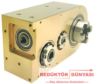 Özel Redüktör
